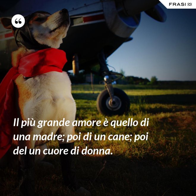 Il più grande amore è quello di una madre; poi di un cane; poi del un cuore di donna. - Anonimo