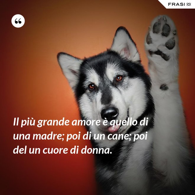 Il più grande amore è quello di una madre; poi di un cane; poi del un cuore di donna. - Anonimo