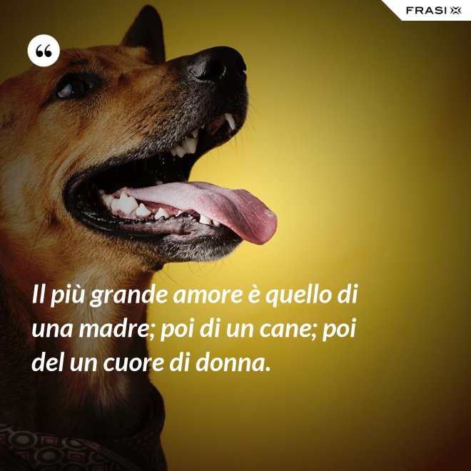 Il più grande amore è quello di una madre; poi di un cane; poi del un cuore di donna. - Anonimo