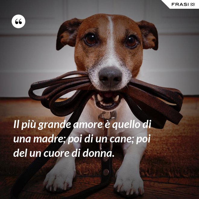 Il più grande amore è quello di una madre; poi di un cane; poi del un cuore di donna. - Anonimo