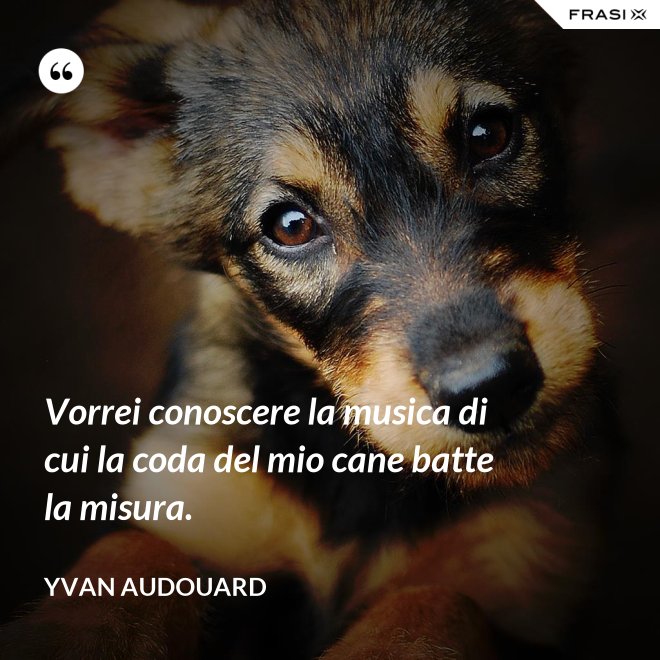 Vorrei conoscere la musica di cui la coda del mio cane batte la misura. - Yvan Audouard