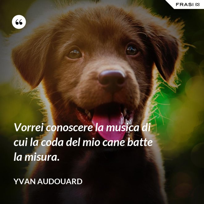Vorrei conoscere la musica di cui la coda del mio cane batte la misura. - Yvan Audouard