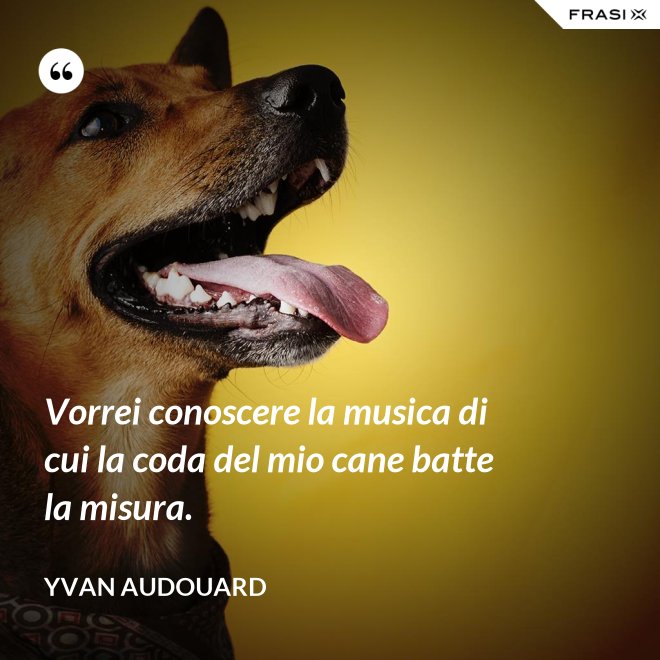 Vorrei conoscere la musica di cui la coda del mio cane batte la misura. - Yvan Audouard