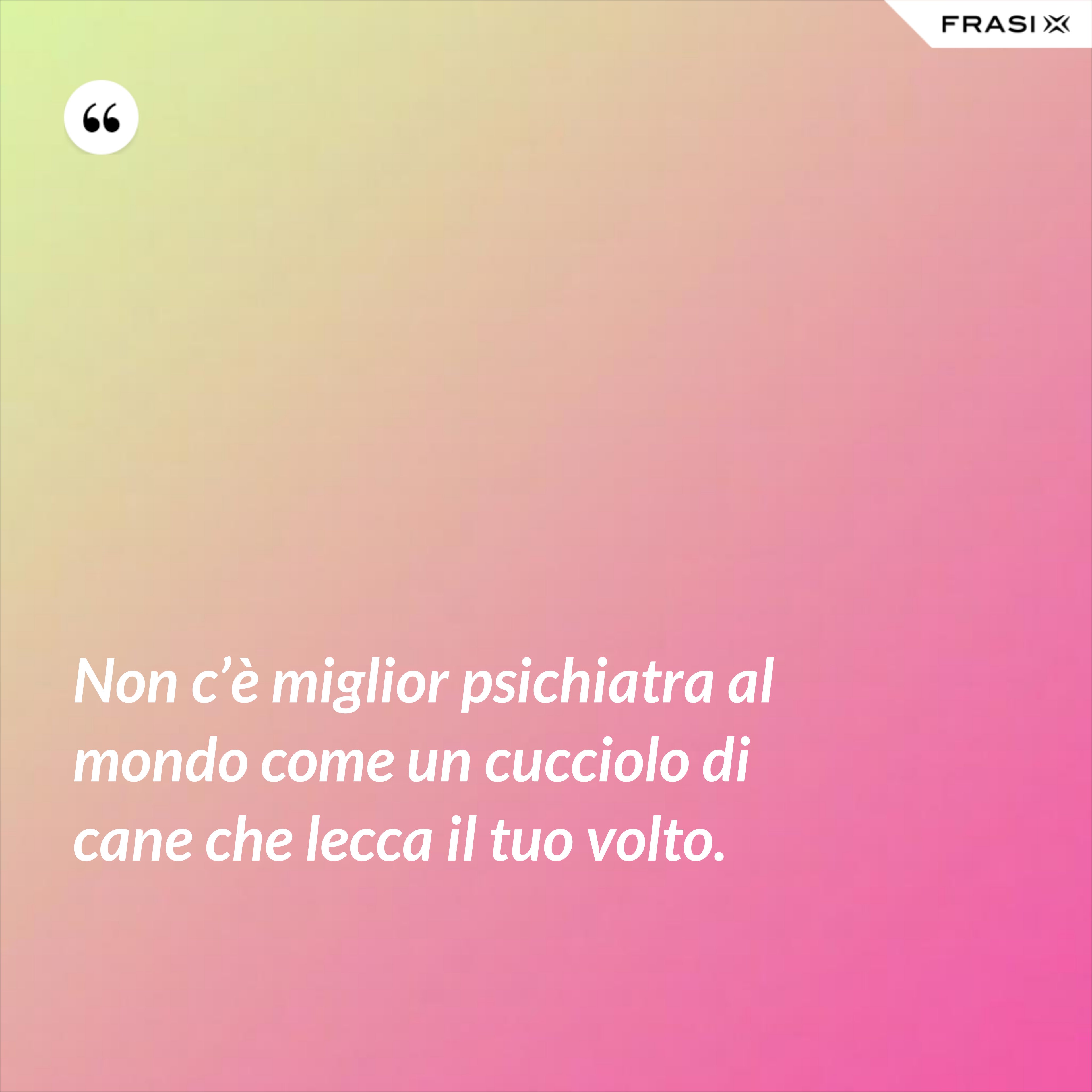 Non c’è miglior psichiatra al mondo come un cucciolo di cane che lecca il tuo volto. - Anonimo