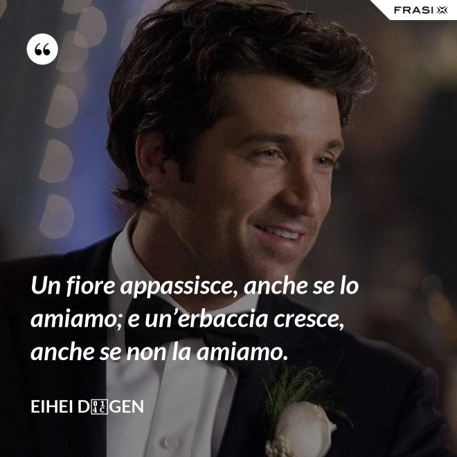 Un fiore appassisce, anche se lo amiamo; e un’erbaccia cresce, anche se non la amiamo. - Eihei Dōgen