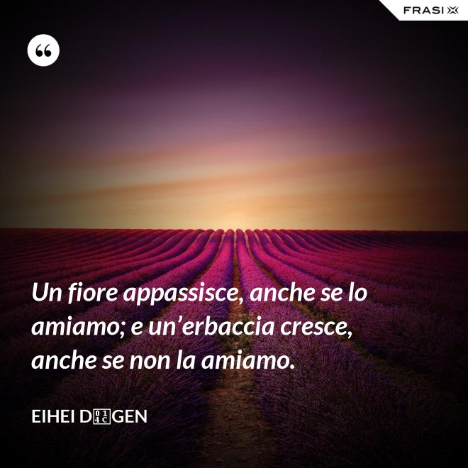 Un fiore appassisce, anche se lo amiamo; e un’erbaccia cresce, anche se non la amiamo. - Eihei Dōgen