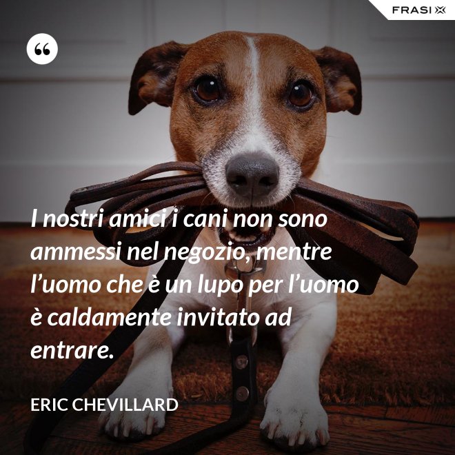 I nostri amici i cani non sono ammessi nel negozio, mentre l’uomo che è un lupo per l’uomo è caldamente invitato ad entrare. - Eric Chevillard