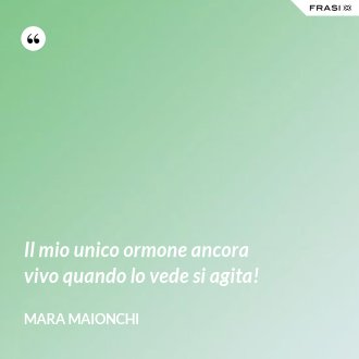 Il mio unico ormone ancora vivo quando lo vede si agita! - Mara Maionchi