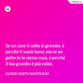 Se un cane ti salta in grembo, è perché ti vuole bene; ma se un gatto fa la stessa cosa, è perché il tuo grembo è più caldo. - Alfred North Whitehead