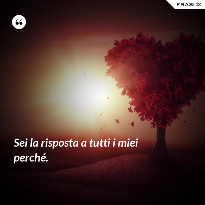 Sei la risposta a tutti i miei perché. - Anonimo