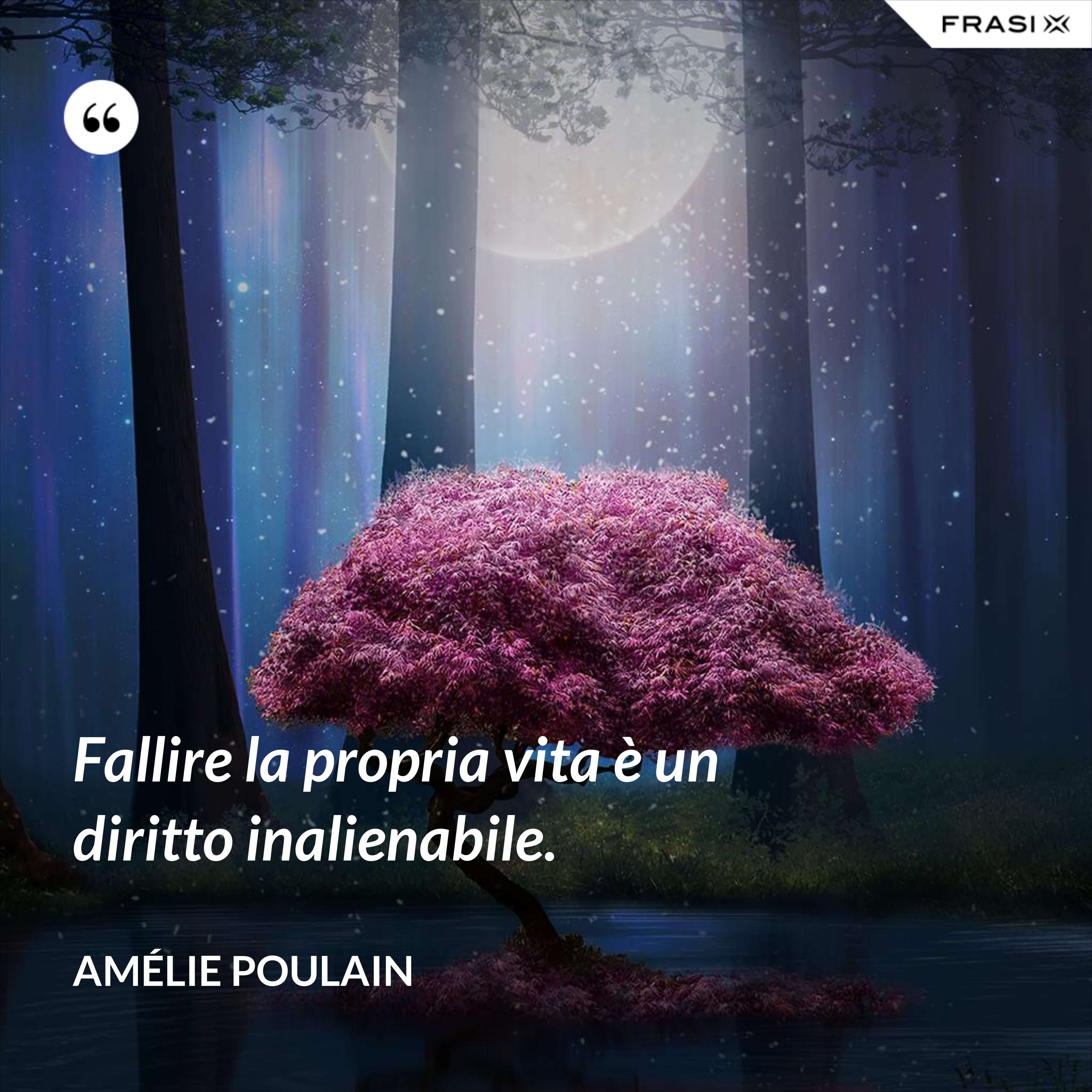 Fallire la propria vita è un diritto inalienabile. - Amélie Poulain