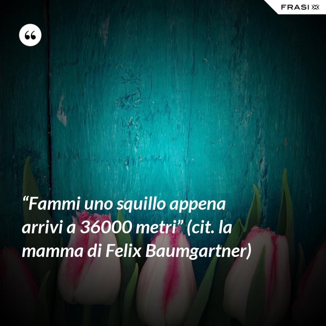 “Fammi uno squillo appena arrivi a 36000 metri” (cit. la mamma di Felix Baumgartner) - Anonimo