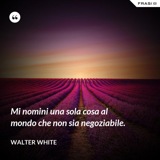 Mi nomini una sola cosa al mondo che non sia negoziabile. - Walter White