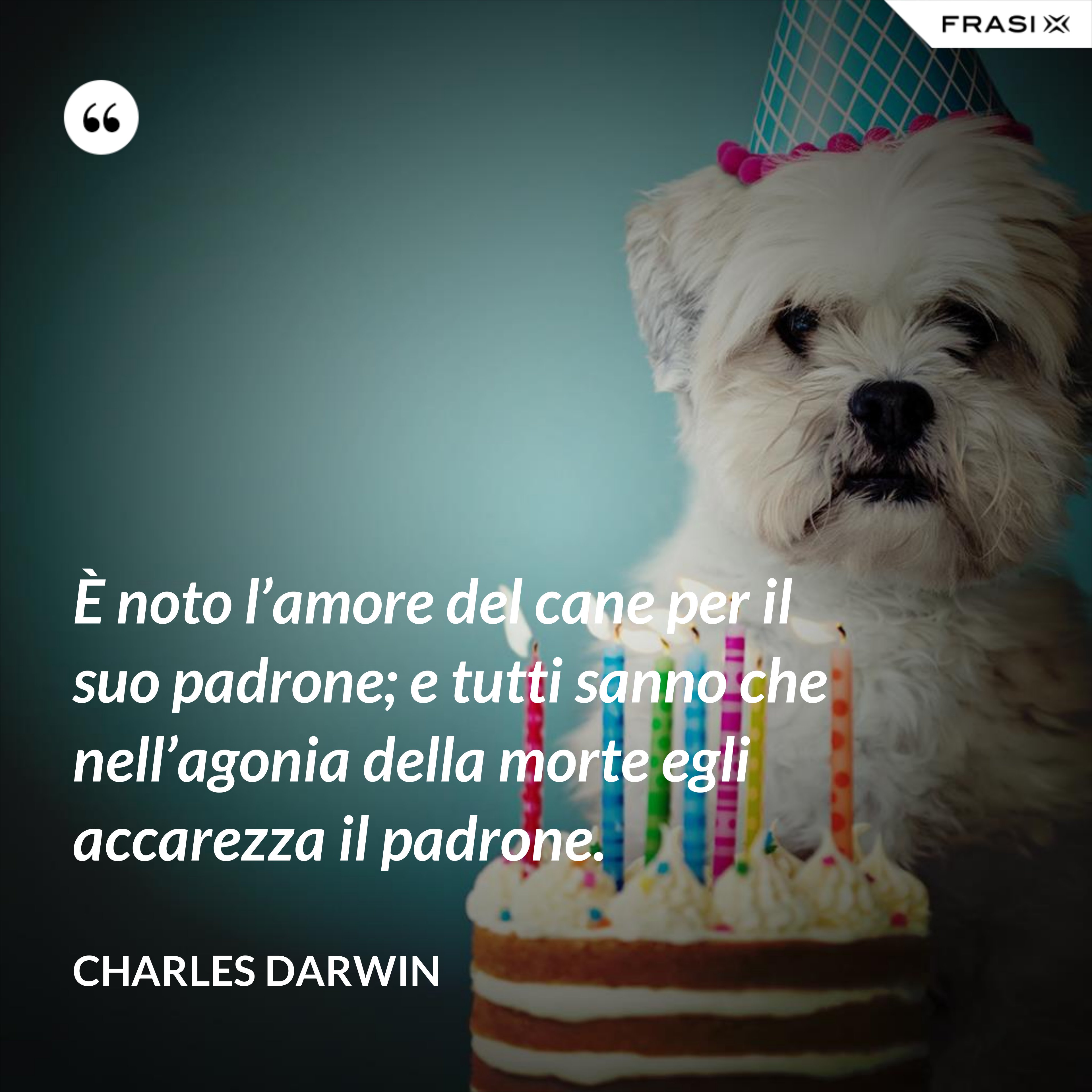È noto l’amore del cane per il suo padrone; e tutti sanno che nell’agonia della morte egli accarezza il padrone. - Charles Darwin