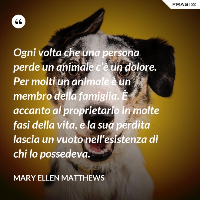 Ogni volta che una persona perde un animale c’è un dolore. Per molti un animale è un membro della famiglia. È accanto al proprietario in molte fasi della vita, e la sua perdita lascia un vuoto nell’esistenza di chi lo possedeva. - Mary Ellen Matthews