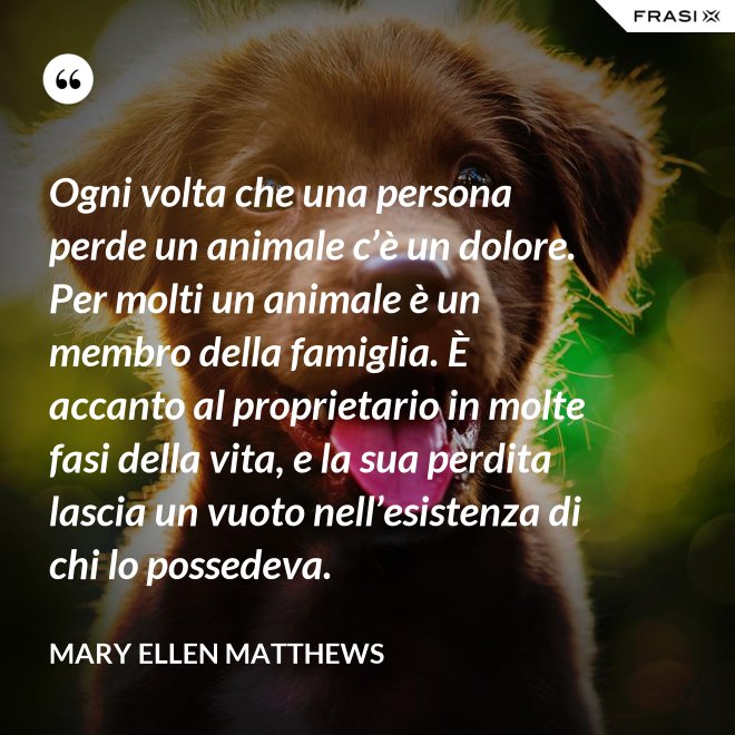 Ogni volta che una persona perde un animale c’è un dolore. Per molti un animale è un membro della famiglia. È accanto al proprietario in molte fasi della vita, e la sua perdita lascia un vuoto nell’esistenza di chi lo possedeva. - Mary Ellen Matthews