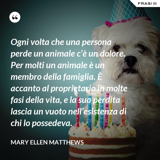 Ogni volta che una persona perde un animale c’è un dolore. Per molti un animale è un membro della famiglia. È accanto al proprietario in molte fasi della vita, e la sua perdita lascia un vuoto nell’esistenza di chi lo possedeva. - Mary Ellen Matthews
