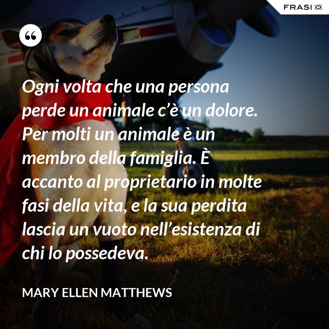 Ogni volta che una persona perde un animale c’è un dolore. Per molti un animale è un membro della famiglia. È accanto al proprietario in molte fasi della vita, e la sua perdita lascia un vuoto nell’esistenza di chi lo possedeva. - Mary Ellen Matthews