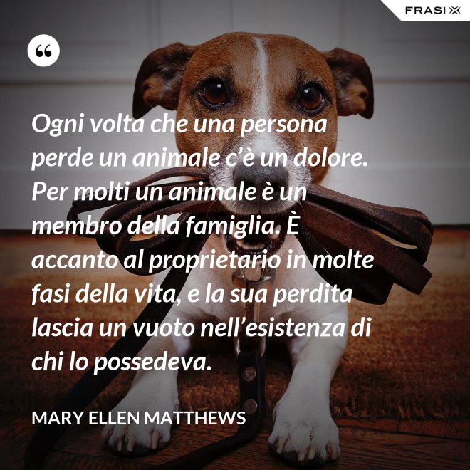 Ogni volta che una persona perde un animale c’è un dolore. Per molti un animale è un membro della famiglia. È accanto al proprietario in molte fasi della vita, e la sua perdita lascia un vuoto nell’esistenza di chi lo possedeva. - Mary Ellen Matthews