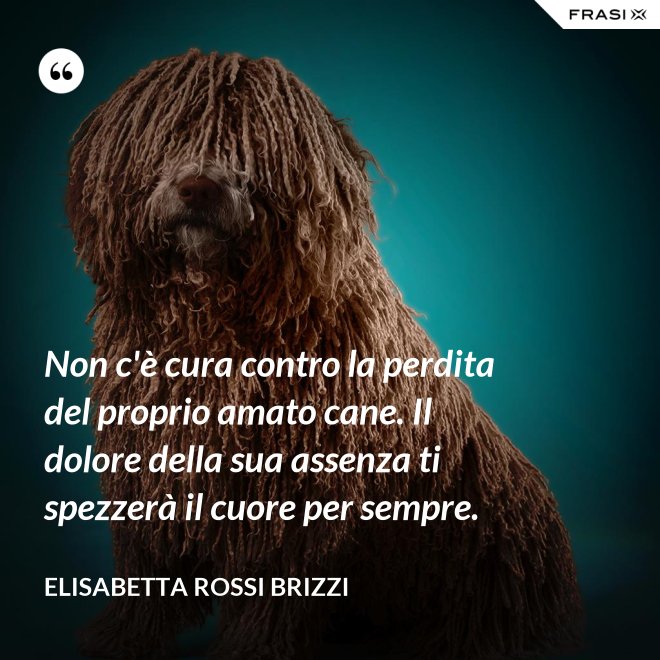 Non c'è cura contro la perdita del proprio amato cane. Il dolore della sua assenza ti spezzerà il cuore per sempre. - Elisabetta Rossi Brizzi