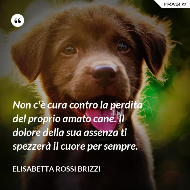 Non c'è cura contro la perdita del proprio amato cane. Il dolore della sua assenza ti spezzerà il cuore per sempre. - Elisabetta Rossi Brizzi