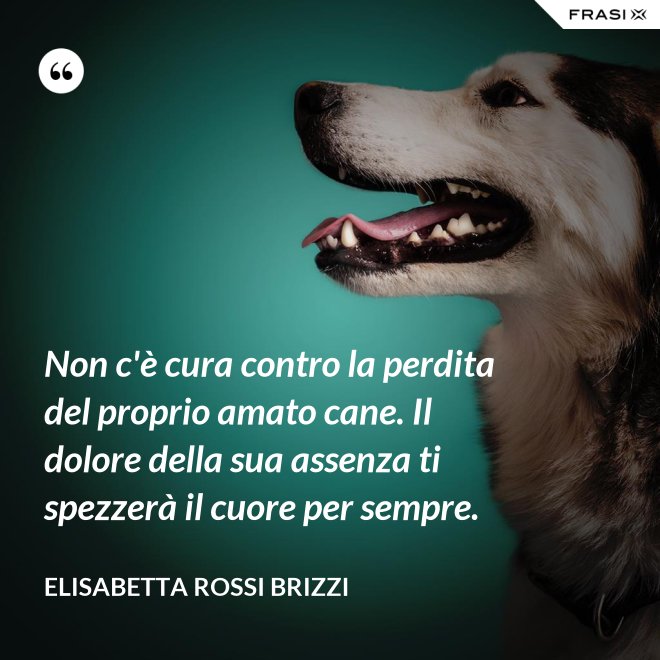 Non c'è cura contro la perdita del proprio amato cane. Il dolore della sua assenza ti spezzerà il cuore per sempre. - Elisabetta Rossi Brizzi