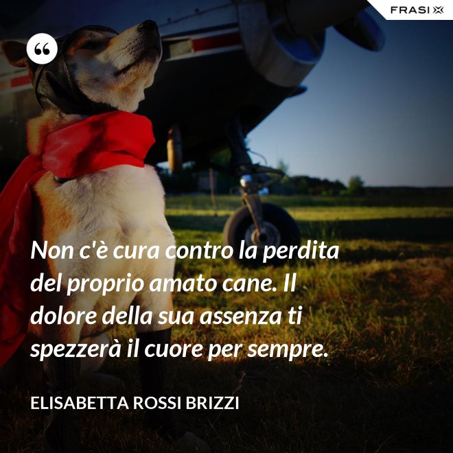 Non c'è cura contro la perdita del proprio amato cane. Il dolore della sua assenza ti spezzerà il cuore per sempre. - Elisabetta Rossi Brizzi