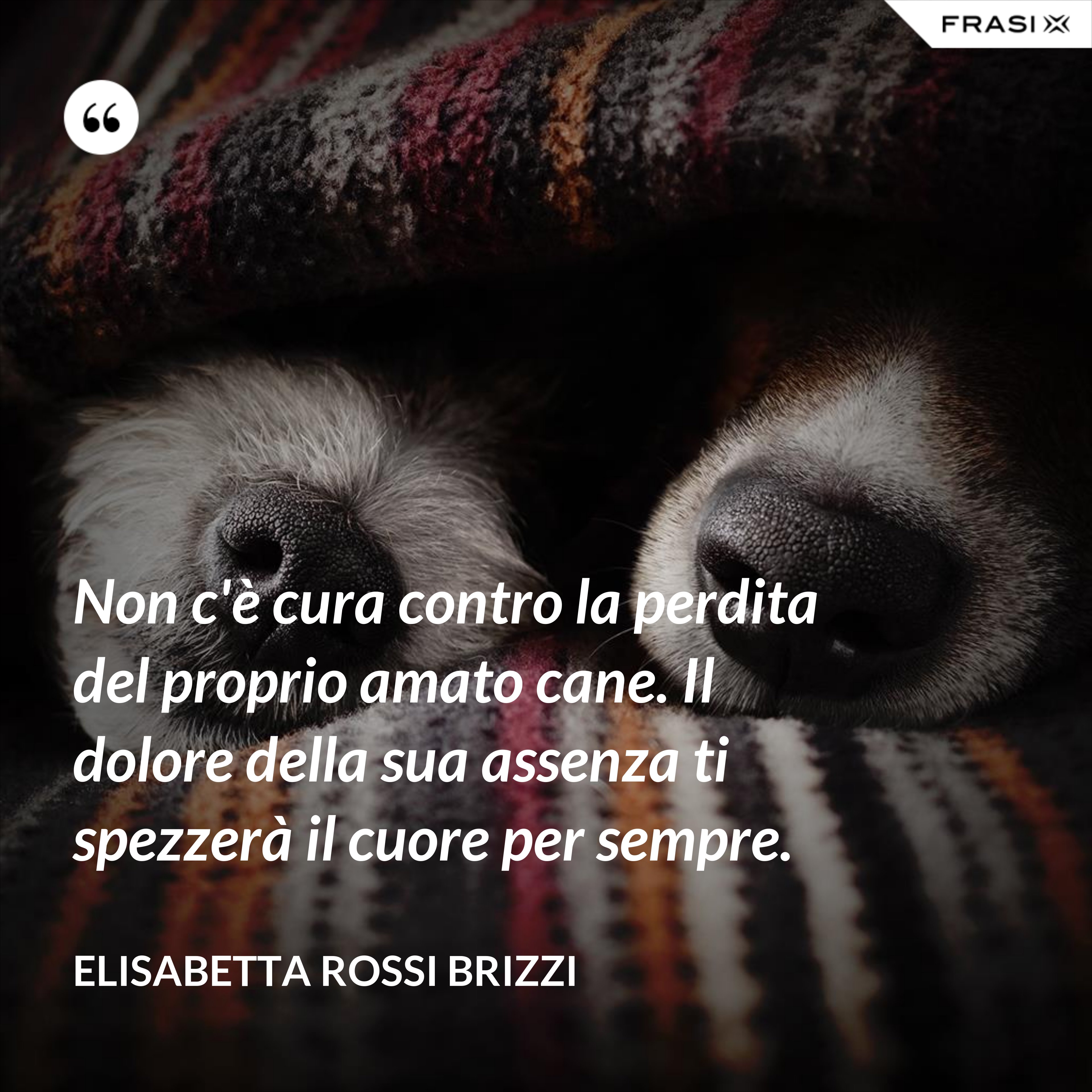 Non c'è cura contro la perdita del proprio amato cane. Il dolore della sua assenza ti spezzerà il cuore per sempre. - Elisabetta Rossi Brizzi