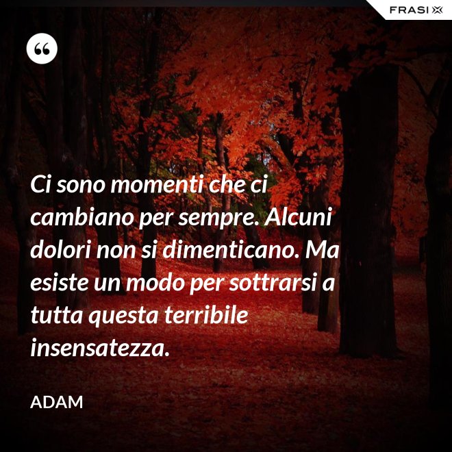 Ci sono momenti che ci cambiano per sempre. Alcuni dolori non si dimenticano. Ma esiste un modo per sottrarsi a tutta questa terribile insensatezza. - Adam