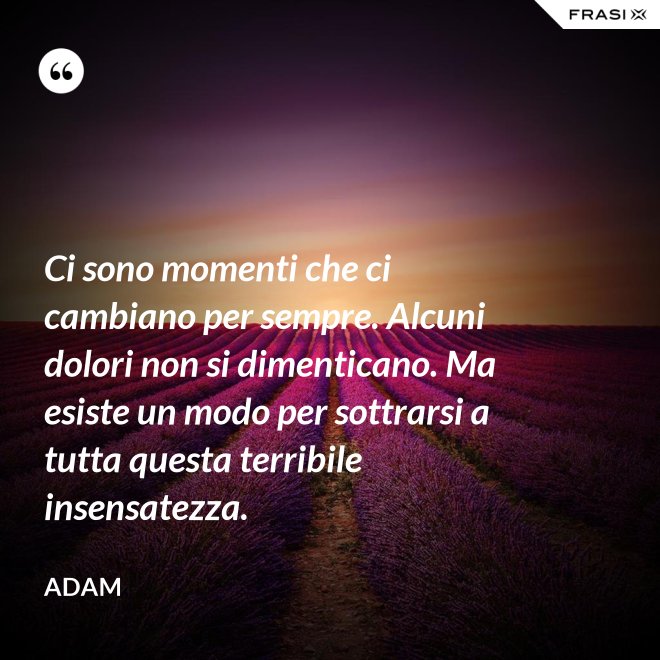 Ci sono momenti che ci cambiano per sempre. Alcuni dolori non si dimenticano. Ma esiste un modo per sottrarsi a tutta questa terribile insensatezza. - Adam