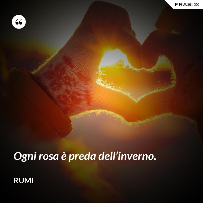 Ogni rosa è preda dell’inverno. - Rumi