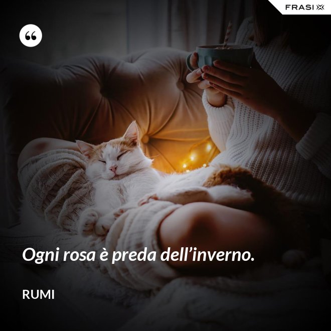 Ogni rosa è preda dell’inverno. - Rumi