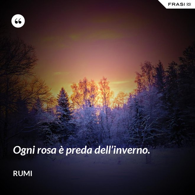 Ogni rosa è preda dell’inverno. - Rumi