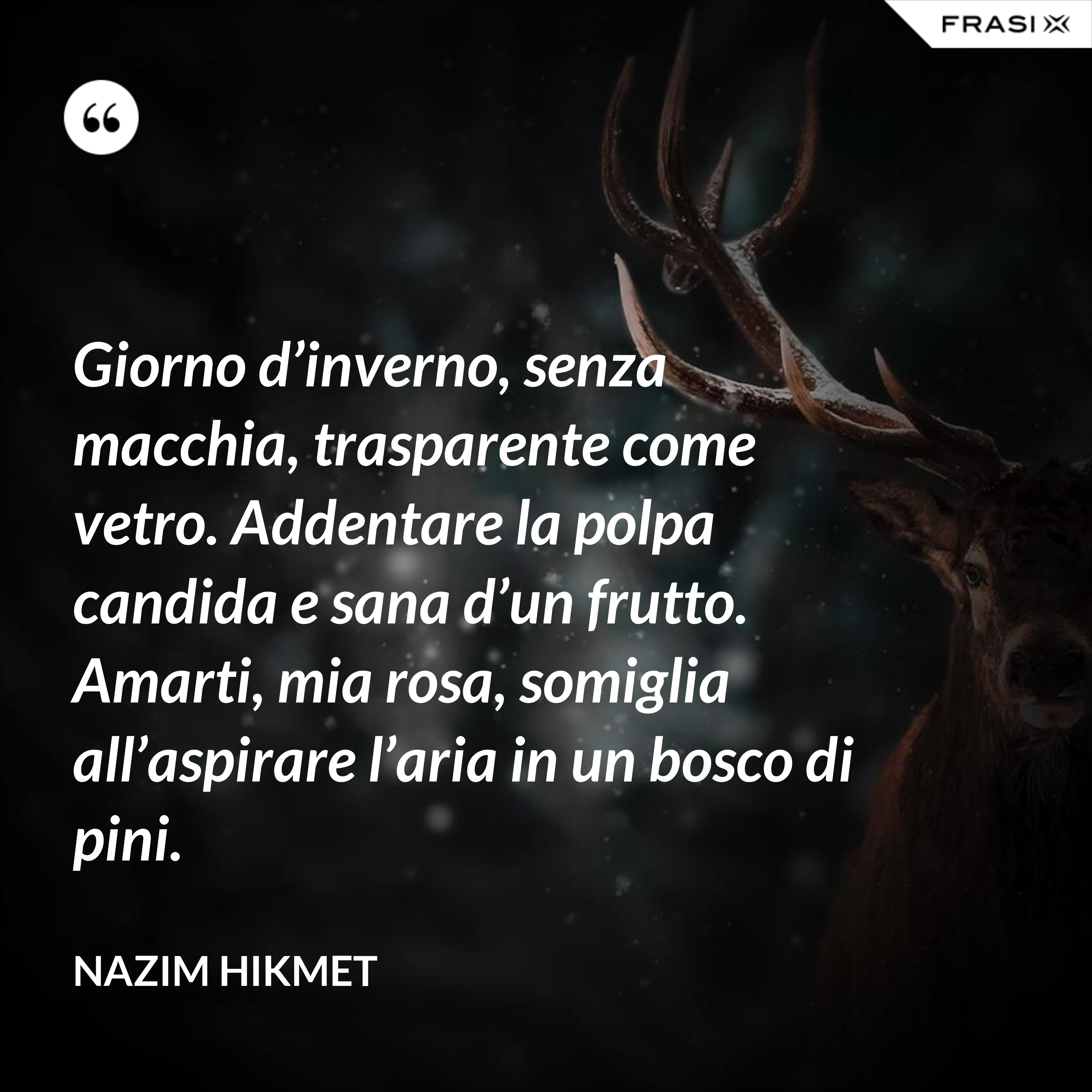 Giorno d’inverno, senza macchia, trasparente come vetro. Addentare la polpa candida e sana d’un frutto. Amarti, mia rosa, somiglia all’aspirare l’aria in un bosco di pini. - Nazim Hikmet