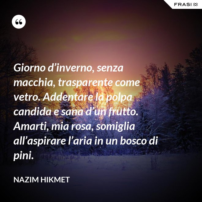 Giorno d’inverno, senza macchia, trasparente come vetro. Addentare la polpa candida e sana d’un frutto. Amarti, mia rosa, somiglia all’aspirare l’aria in un bosco di pini. - Nazim Hikmet