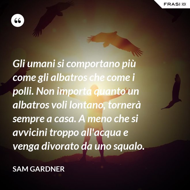 Gli umani si comportano più come gli albatros che come i polli. Non importa quanto un albatros voli lontano, tornerà sempre a casa. A meno che si avvicini troppo all'acqua e venga divorato da uno squalo. - Sam Gardner