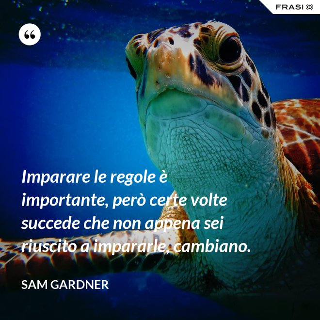 Imparare le regole è importante, però certe volte succede che non appena sei riuscito a impararle, cambiano. - Sam Gardner
