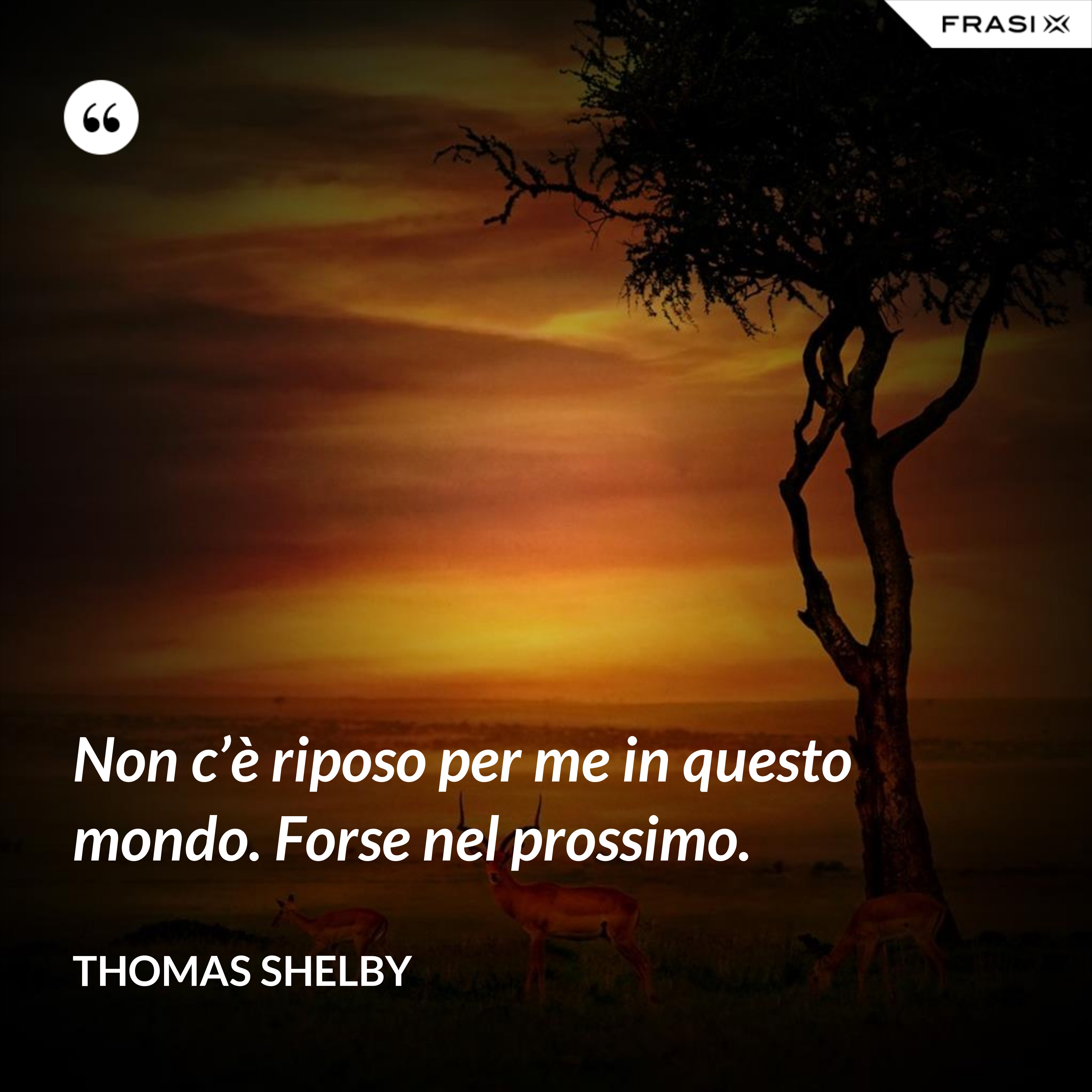 Non c’è riposo per me in questo mondo. Forse nel prossimo. - Thomas Shelby