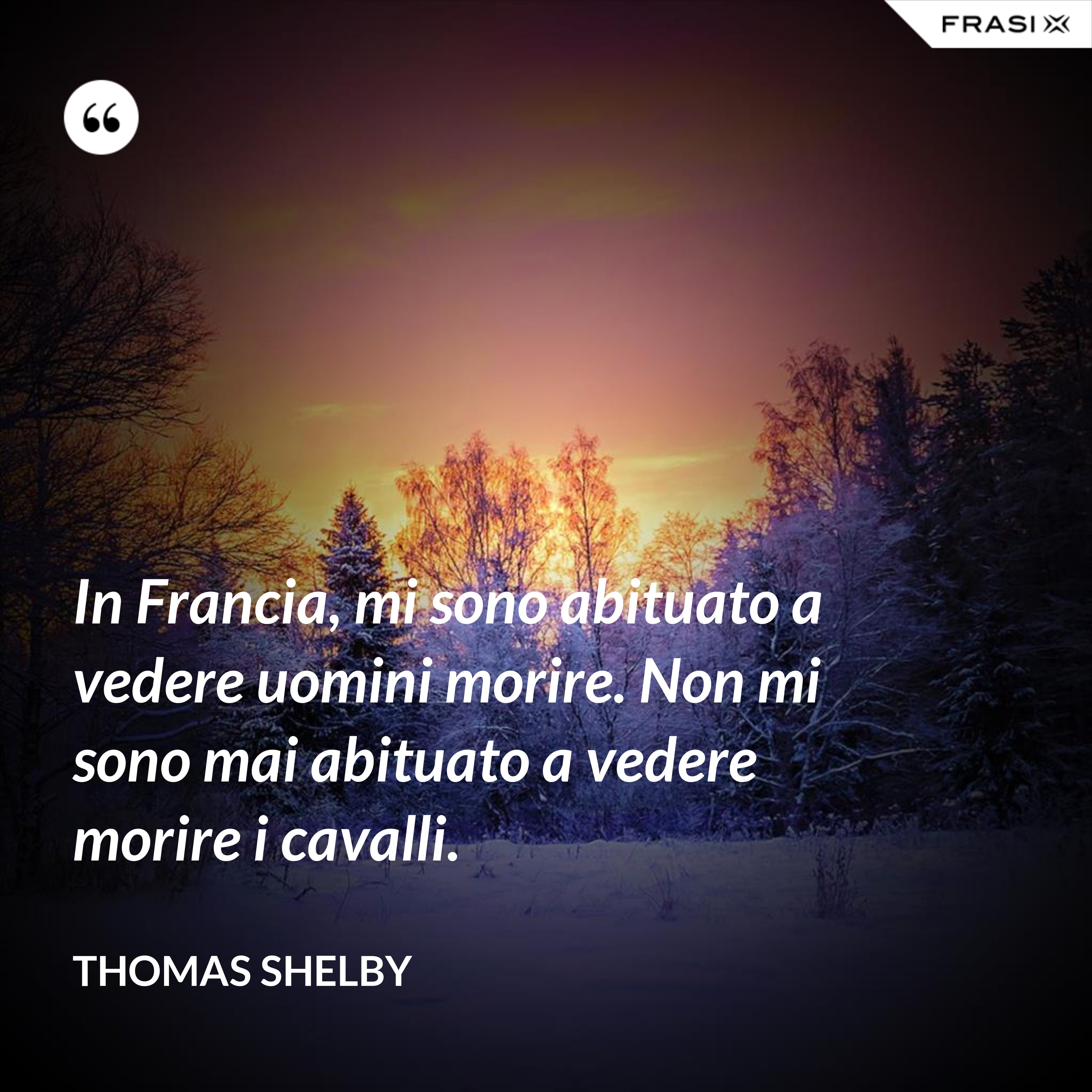 In Francia, mi sono abituato a vedere uomini morire. Non mi sono mai abituato a vedere morire i cavalli. - Thomas Shelby