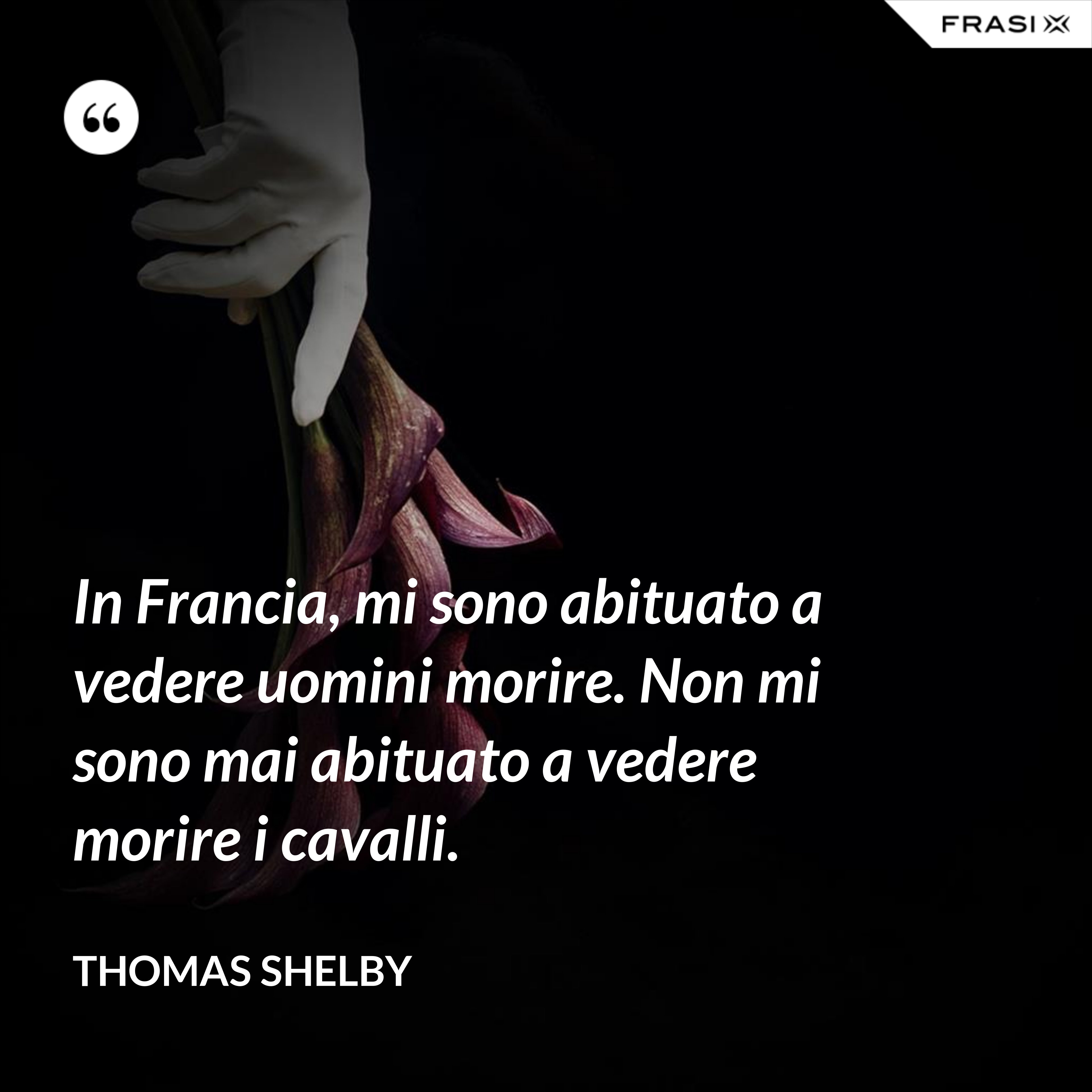 In Francia, mi sono abituato a vedere uomini morire. Non mi sono mai abituato a vedere morire i cavalli. - Thomas Shelby