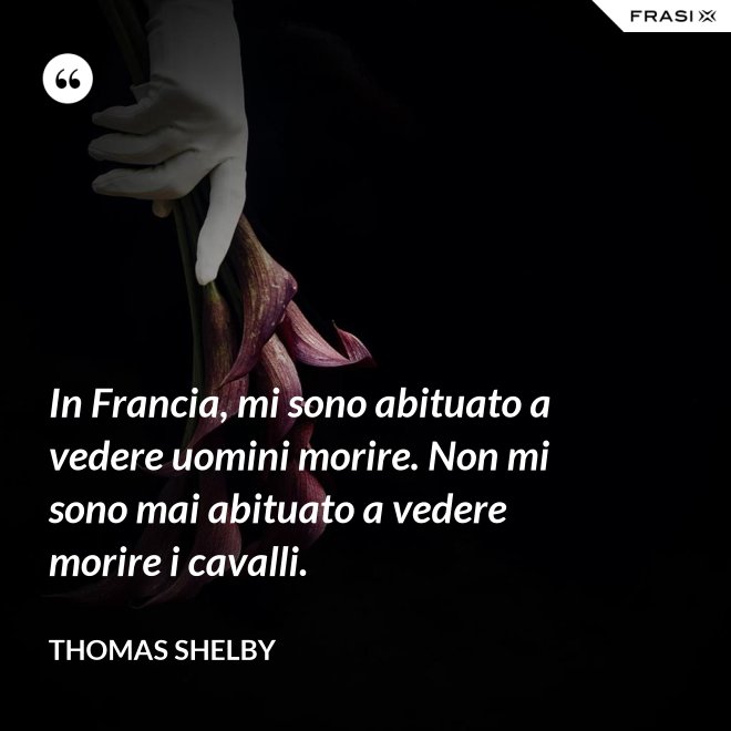 In Francia, mi sono abituato a vedere uomini morire. Non mi sono mai abituato a vedere morire i cavalli. - Thomas Shelby