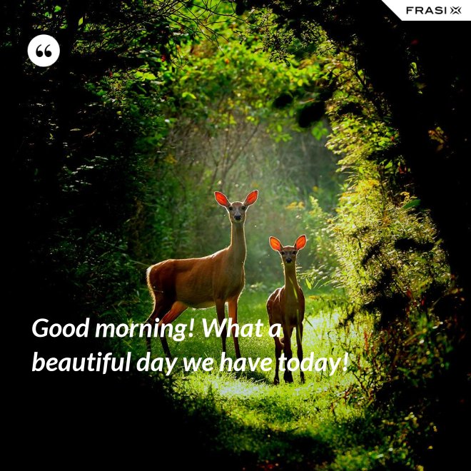 Good morning! What a beautiful day we have today! - Anonimo