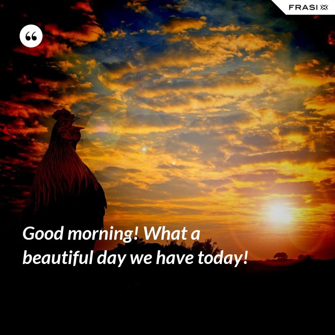 Good morning! What a beautiful day we have today! - Anonimo