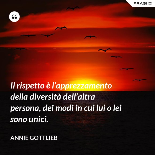Il rispetto è l’apprezzamento della diversità dell’altra persona, dei modi in cui lui o lei sono unici. - Annie Gottlieb
