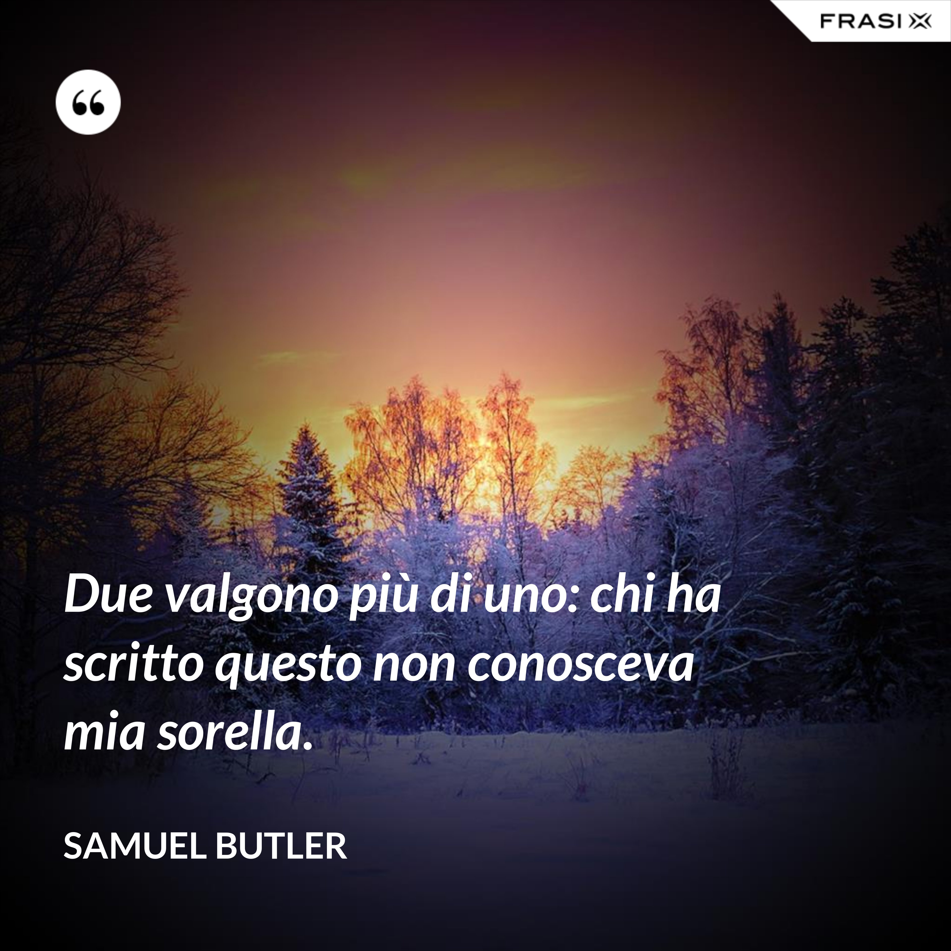Due valgono più di uno: chi ha scritto questo non conosceva mia sorella. - Samuel Butler