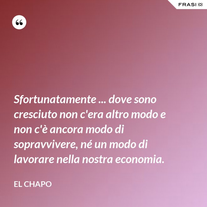 Sfortunatamente ... dove sono cresciuto non c'era altro modo e non c'è ancora modo di sopravvivere, né un modo di lavorare nella nostra economia. - El Chapo
