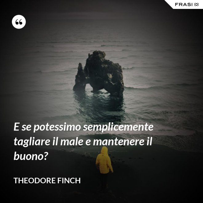 E se potessimo semplicemente tagliare il male e mantenere il buono? - Theodore Finch