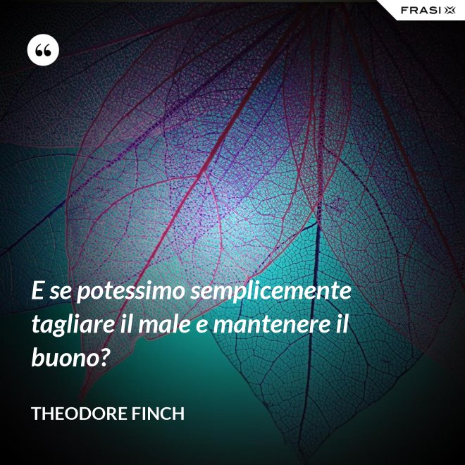 E se potessimo semplicemente tagliare il male e mantenere il buono? - Theodore Finch