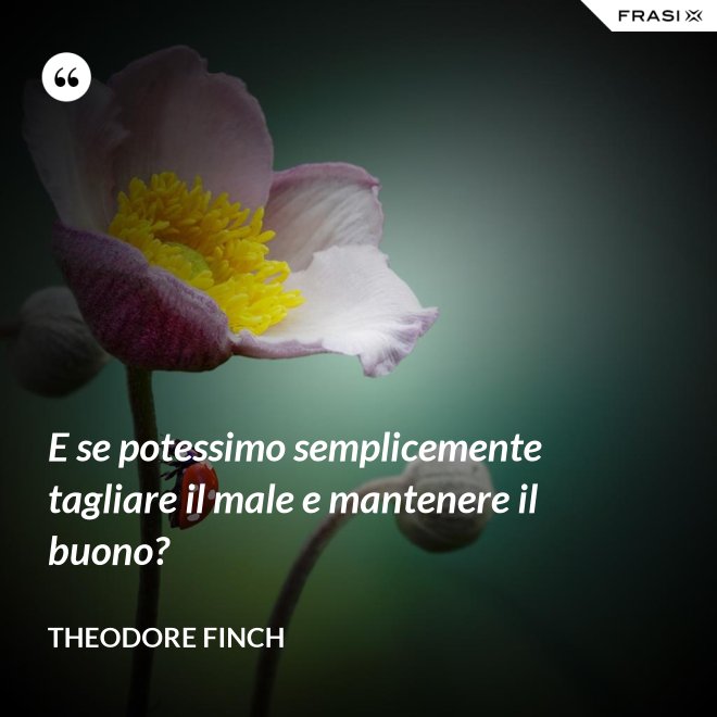 E se potessimo semplicemente tagliare il male e mantenere il buono? - Theodore Finch