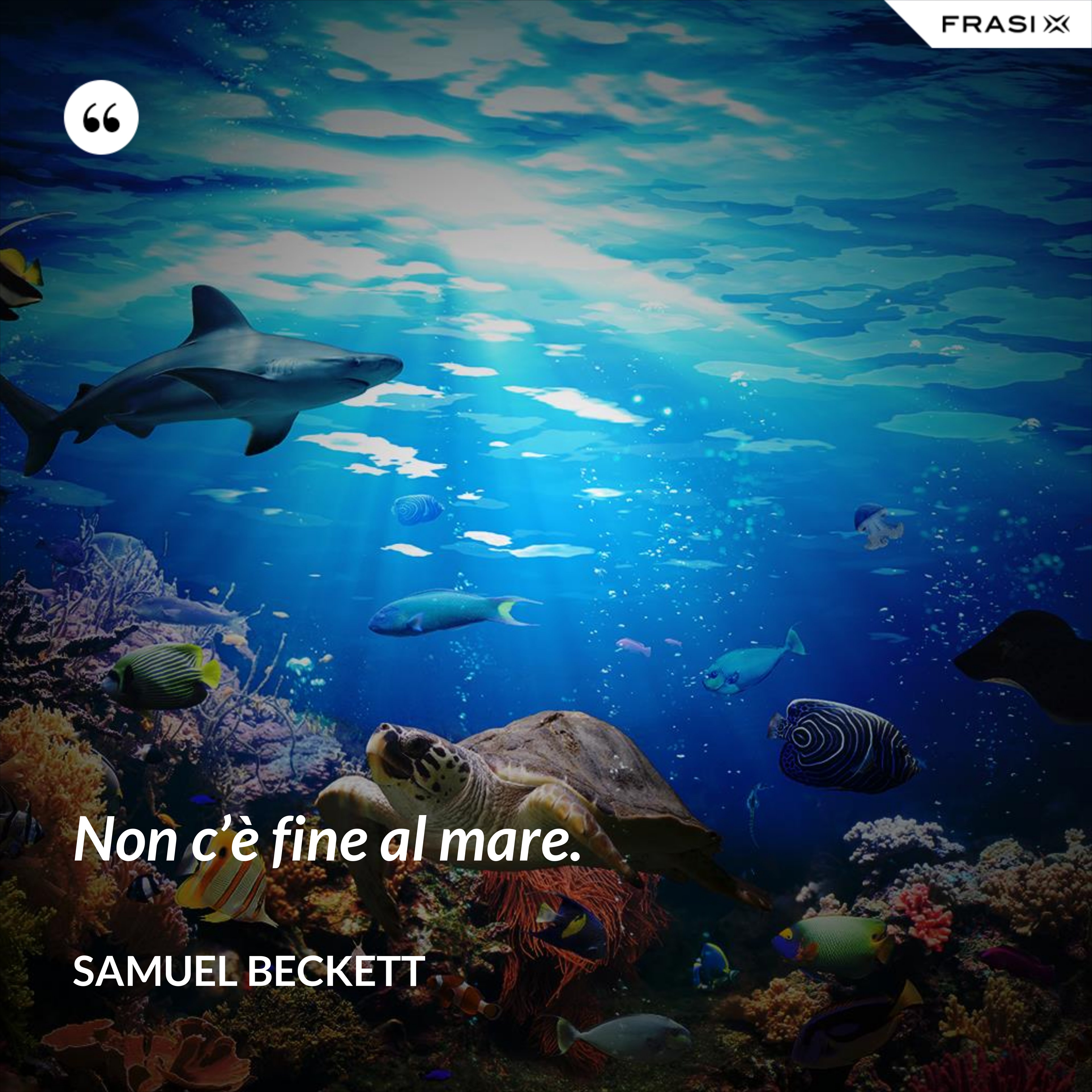 Non c’è fine al mare. - Samuel Beckett